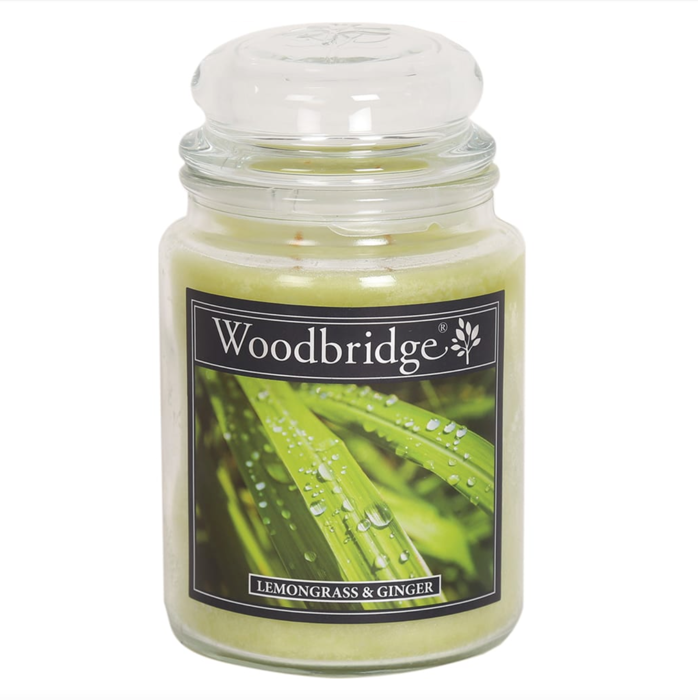Woodbridge Lemongrass & Ginger - Large